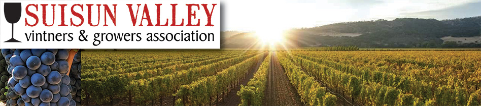 Suisun Valley Vintners & Growers Association